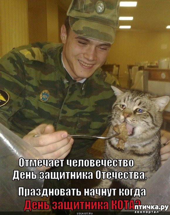 ���� 9: ����������� � ����� 23 �������!!!