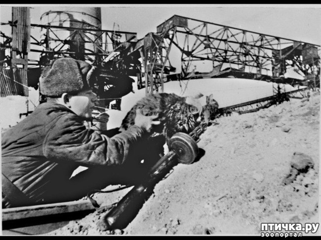 ���� 10: ����������� � ����� 23 �������!!!