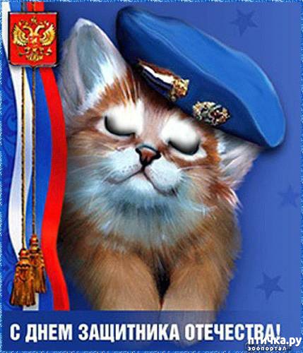 ���� 12: ����������� � ����� 23 �������!!!