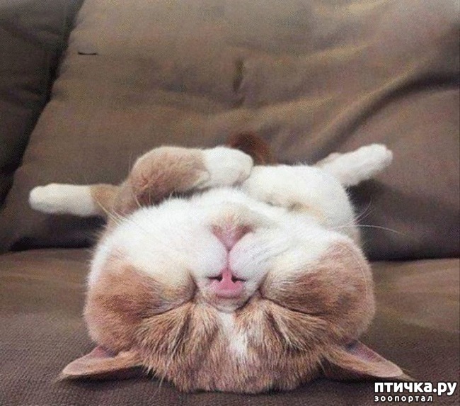 ���� 16: #�������� ���������� ������-���������