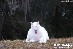 ����: #������� ��� ������ �������� ����, ������� ����� �� �����