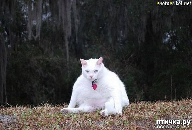 ���� 1: #������� ��� ������ �������� ����, ������� ����� �� �����