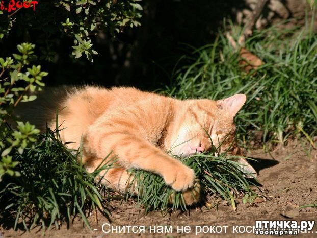 ���� 18: #�������� ���������� ������-���������