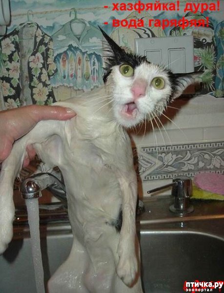 ���� 19: #�������� ���������� ������-���������