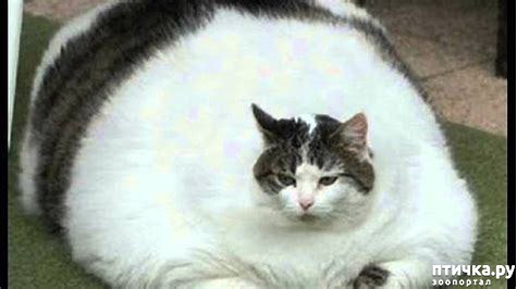 ���� 20: #�������� ���������� ������-���������