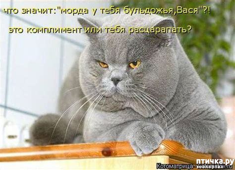 ���� 24: #�������� ���������� ������-���������