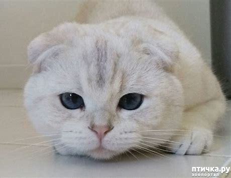 ���� 22: #�������� ���������� ������-���������