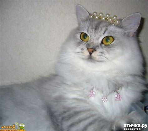 ���� 23: #�������� ���������� ������-���������