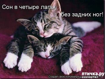 ���� 26: #�������� ���������� ������-���������