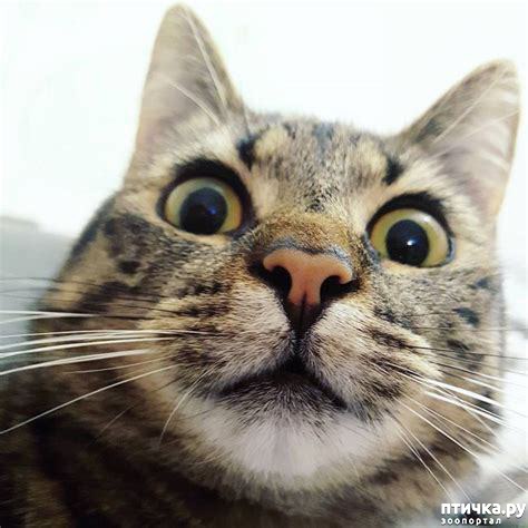 ���� 27: #�������� ���������� ������-���������