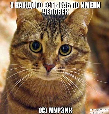 ���� 25: #�������� ���������� ������-���������