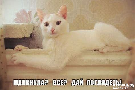 ���� 28: #�������� ���������� ������-���������