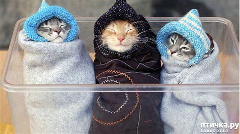 ���� 29: #�������� ���������� ������-���������