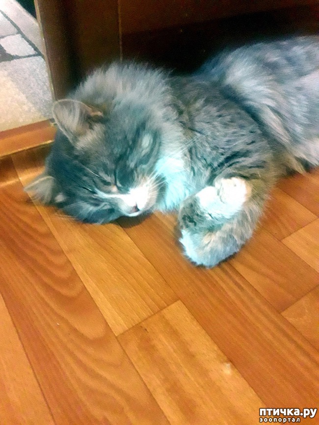 ���� 1: ���������� ��������!