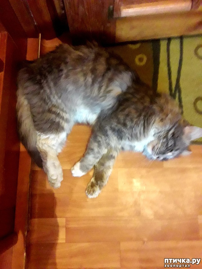 ���� 2: ���������� ��������!