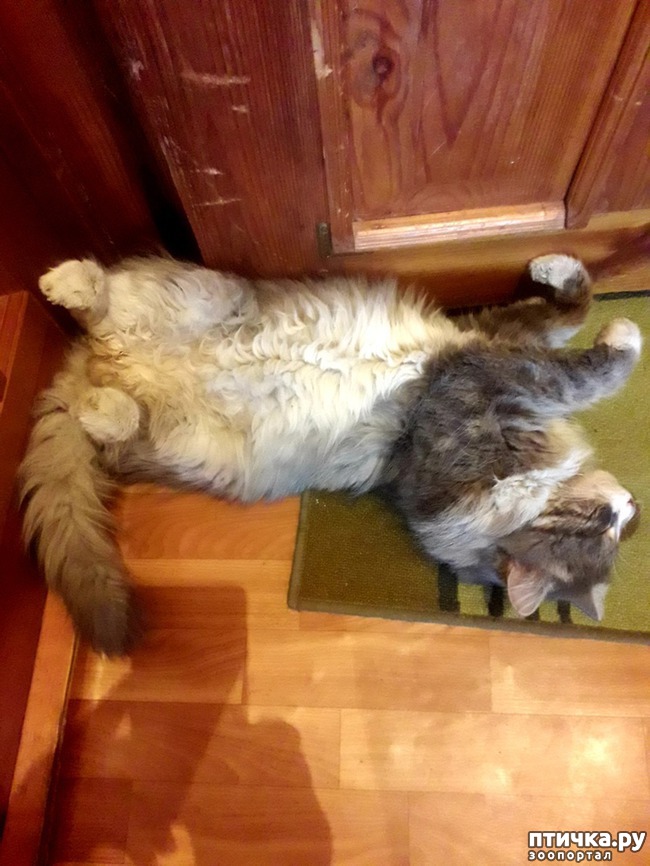 ���� 3: ���������� ��������!