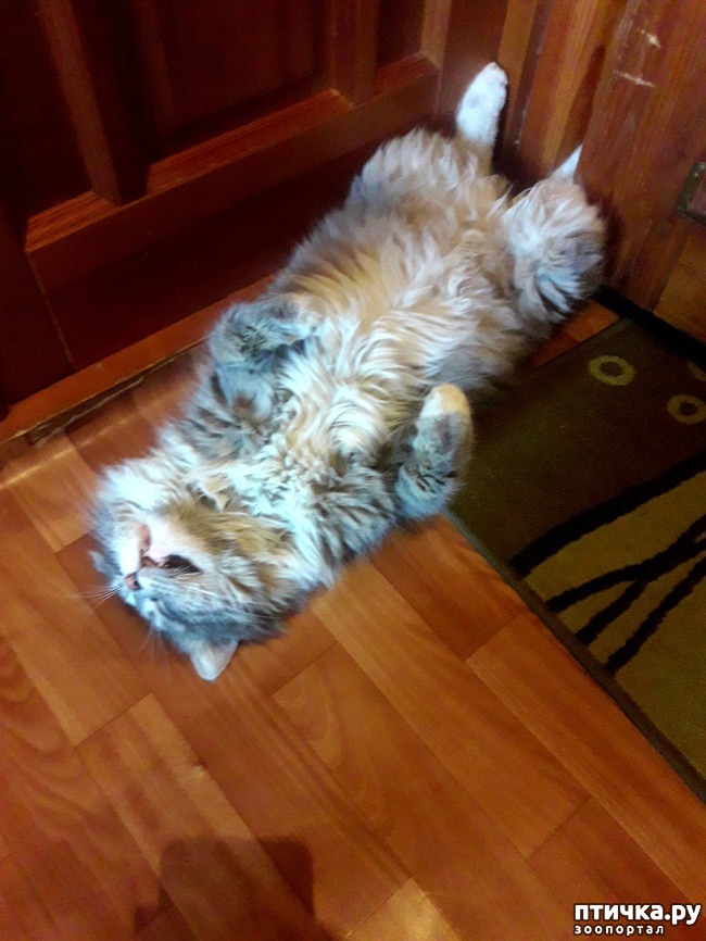 ���� 4: ���������� ��������!