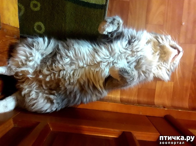 ���� 5: ���������� ��������!