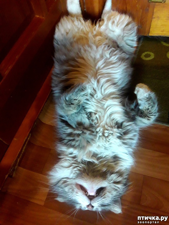 ���� 6: ���������� ��������!