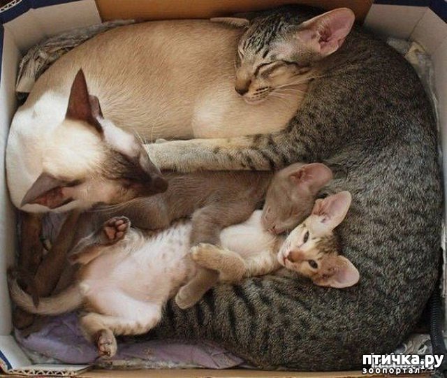 ���� 1: ������ ����