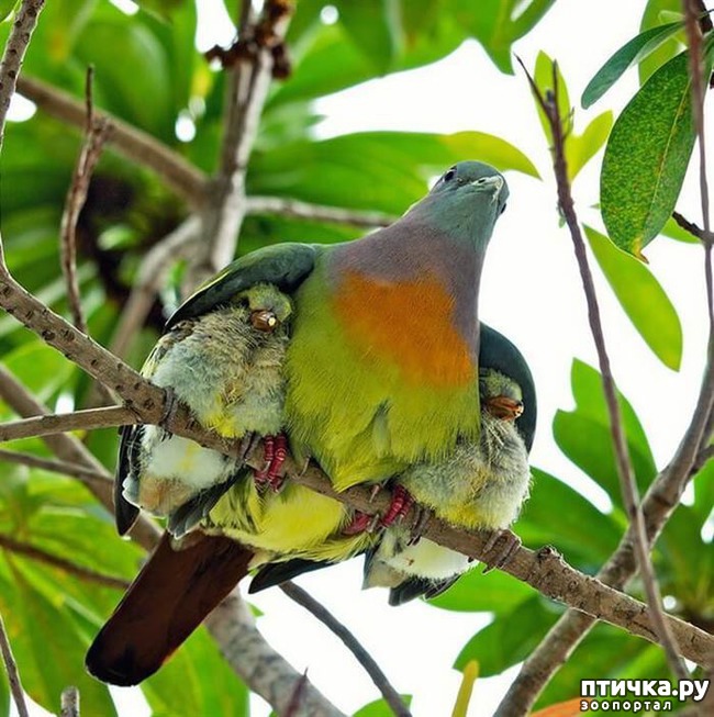 ���� 4: ������ ����