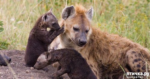 ���� 5: ������ ����