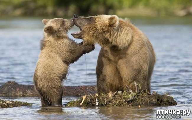 ���� 6: ������ ����