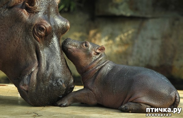 ���� 7: ������ ����