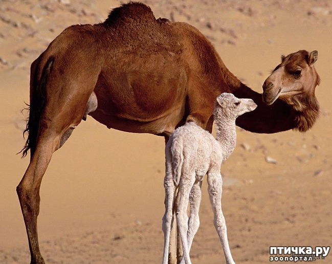 ���� 8: ������ ����