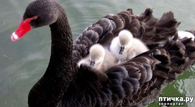 ���� 9: ������ ����