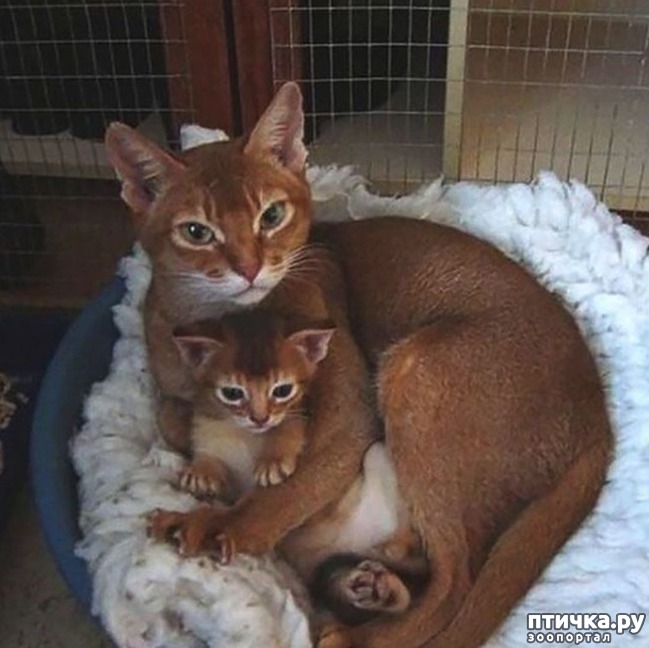 ���� 10: ������ ����