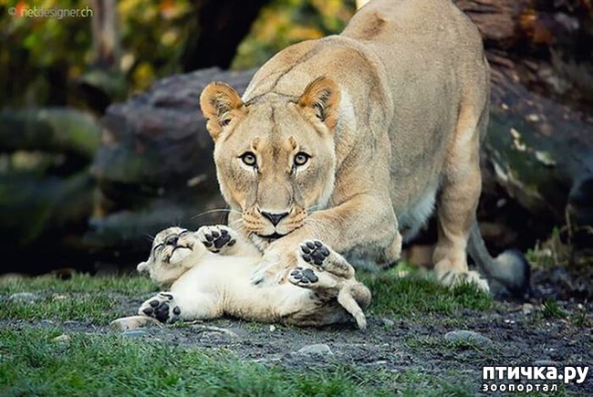 ���� 12: ������ ����