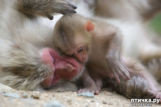 ���� 13: ������ ����