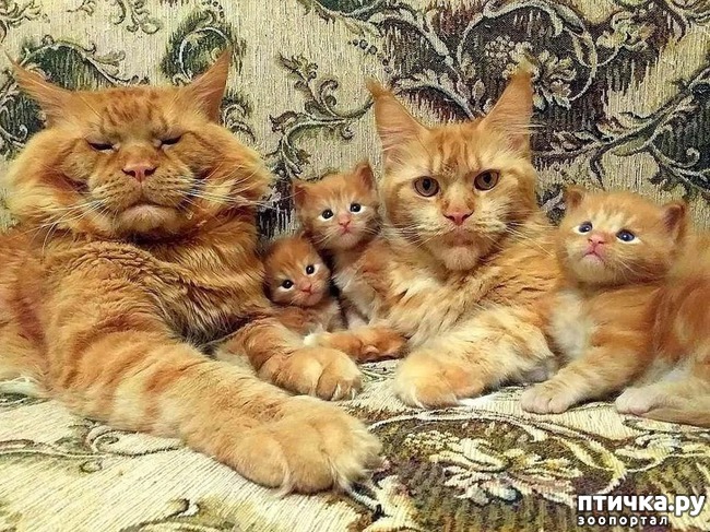 ���� 14: ������ ����