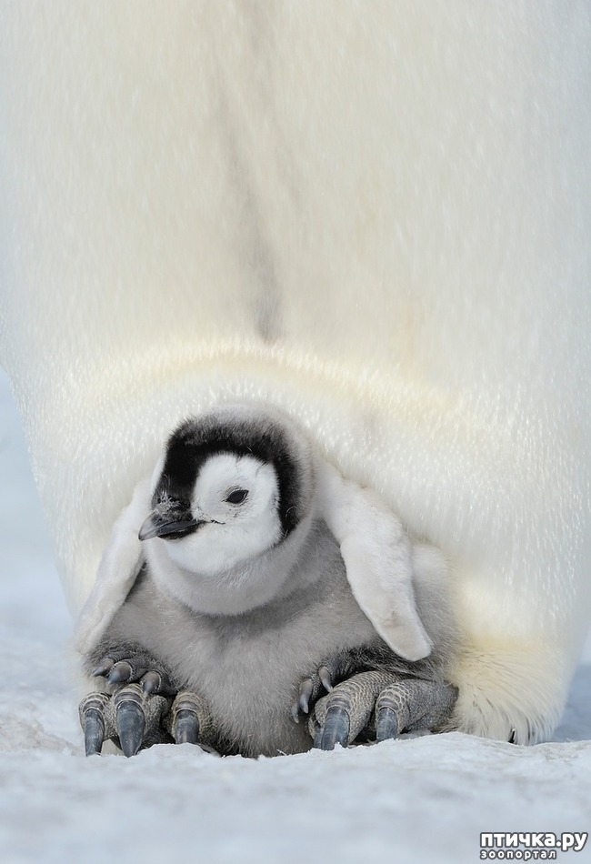 ���� 15: ������ ����