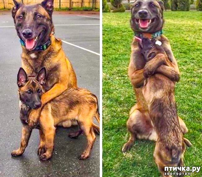 ���� 16: ������ ����