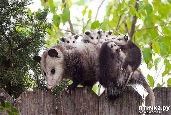 ���� 17: ������ ����