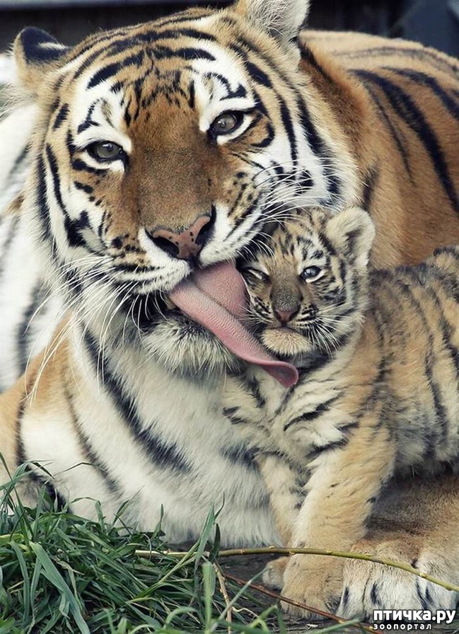 ���� 19: ������ ����