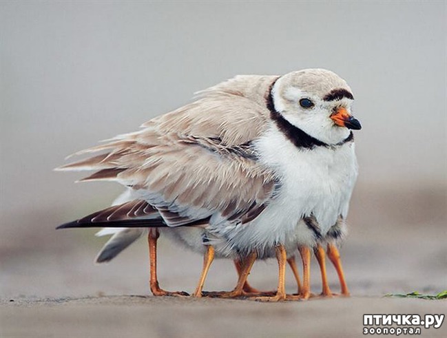 ���� 20: ������ ����