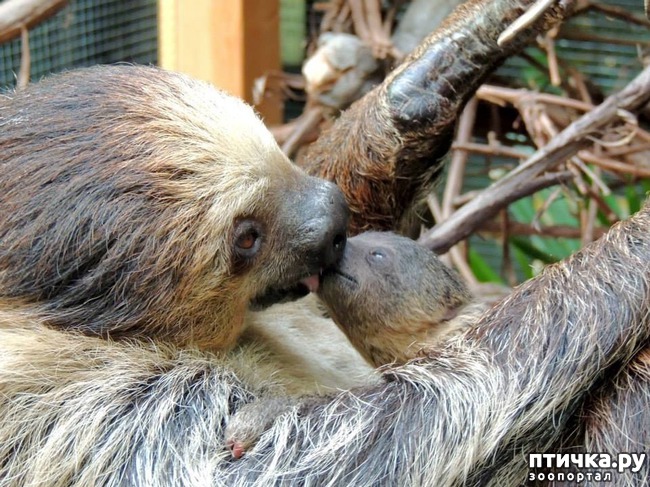 ���� 21: ������ ����