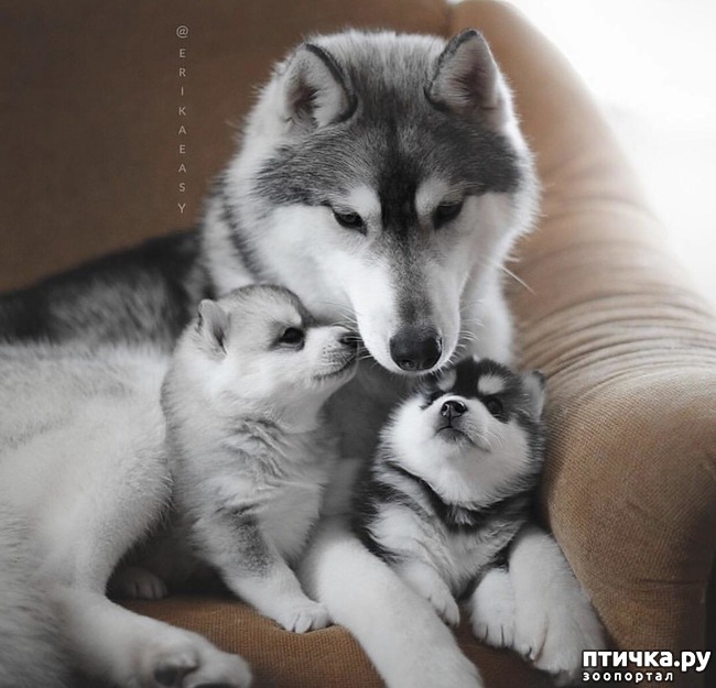 ���� 22: ������ ����