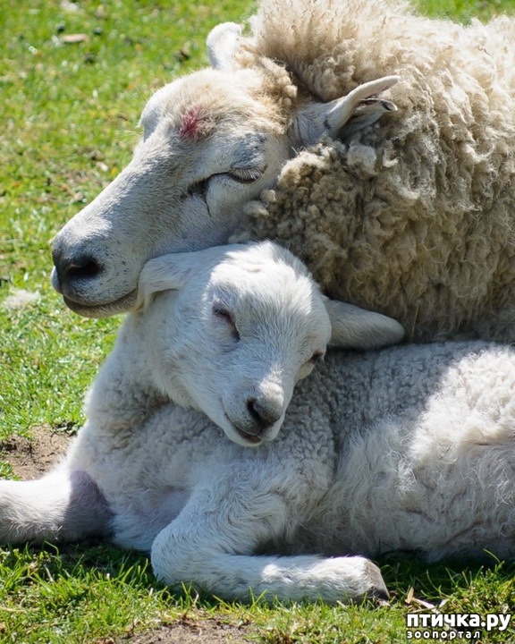 ���� 24: ������ ����