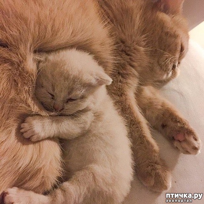 ���� 25: ������ ����