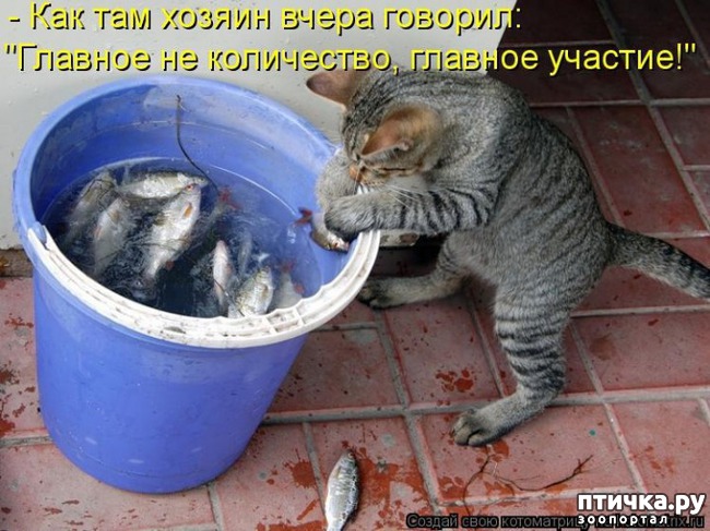 ���� 12: ��������� ��� ������ ����� ����