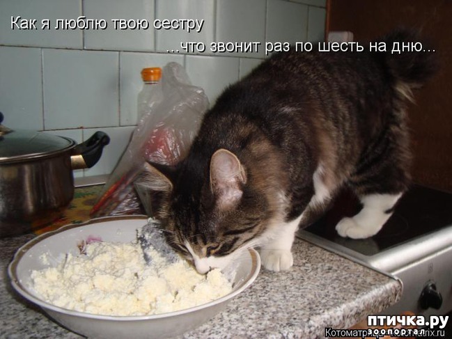 ���� 13: ��������� ��� ������ ����� ����