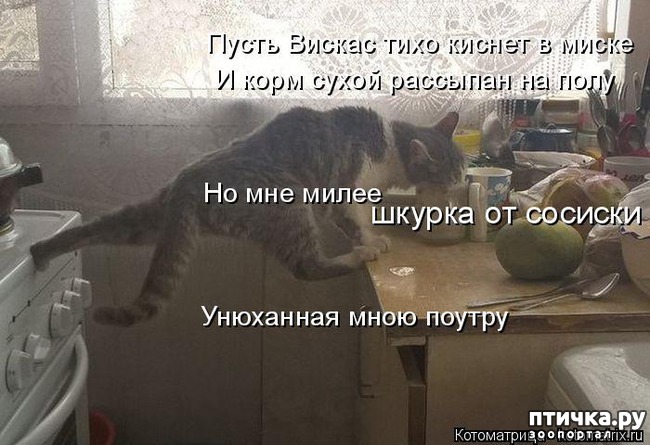 ���� 14: ��������� ��� ������ ����� ����