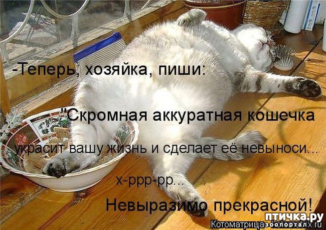 ���� 15: ��������� ��� ������ ����� ����