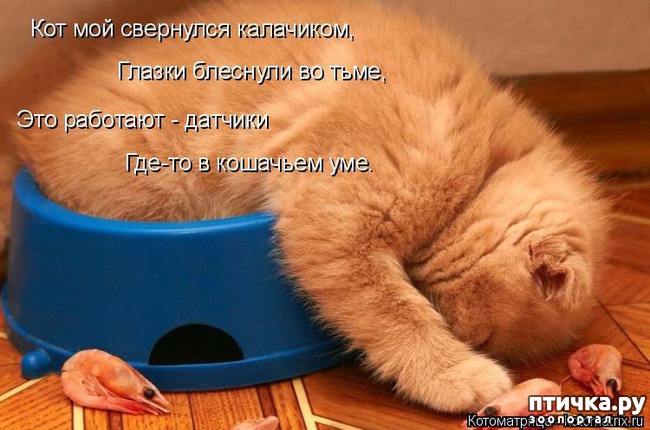 ���� 16: ��������� ��� ������ ����� ����