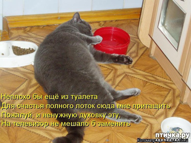 ���� 17: ��������� ��� ������ ����� ����