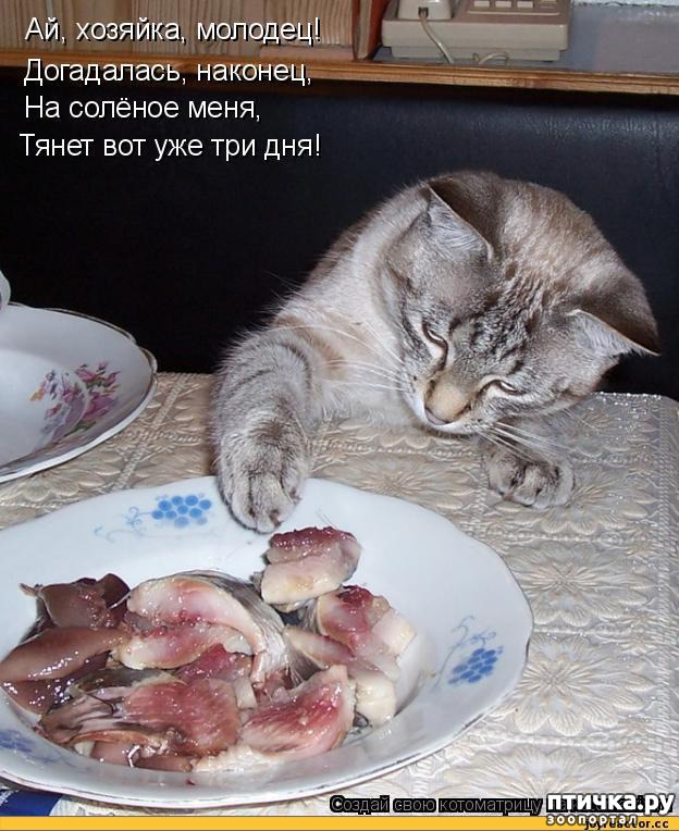 ���� 18: ��������� ��� ������ ����� ����